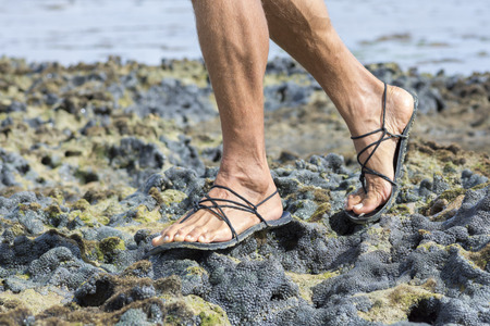 Closeup male feet wearing primitive black sandals walking over living coral reef at low tideの写真素材