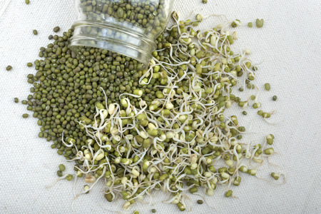 High angle jar of spilled whole dried Vigna radiata mung beans next to pile of bean sprouts on white woven textileの写真素材