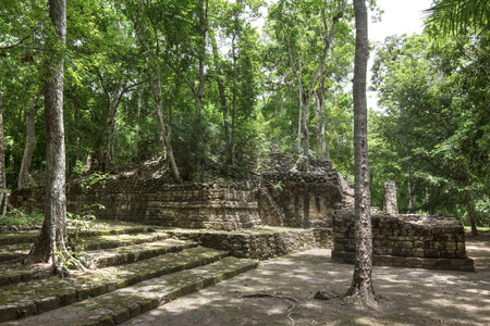 Filtered sunlight bathes steps on the Great Plaza of the ancient Mayan city of Calakmul in Campeche, Mexico under the green jungle canopyの写真素材