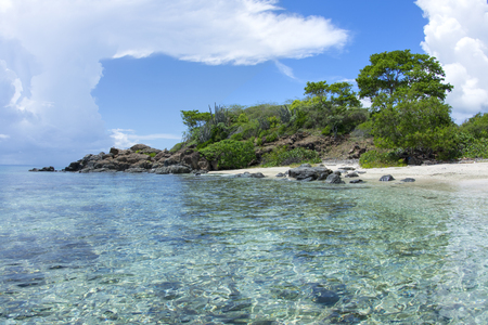 Beautiful paradisiacal Tampico Beach on Caribbean island of Isla Culebra with shallow tranquil water and endemic vegetation on rocky pointの写真素材