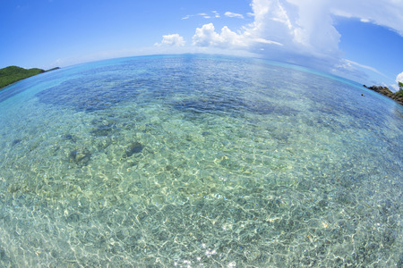 Fisheye view of clear shallow water and coral reef at Tampico Beach on Caribbean island of Isla Culebraの写真素材