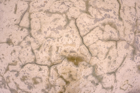Cracks in wet mud of desert floor after recent rain