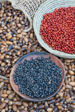Abundant harvest of wild acorns, manzanita berries and fan palm fruit in primitive basket and clay plateの写真素材