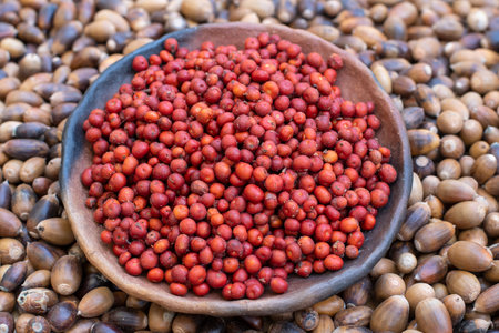 Primitive clay plate full of red manzanita berries on pile of acornsの写真素材