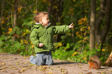 Little boy and squirrel at warm sunny fall dayの写真素材