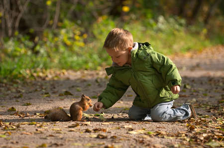 Little boy and squirrel at warm sunny fall dayの写真素材