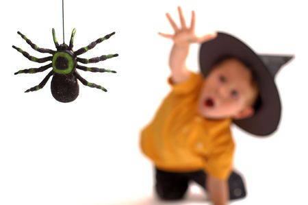 Spider hunting. Isolated image of black spider and small cute boy in witch hat on background.  の写真素材