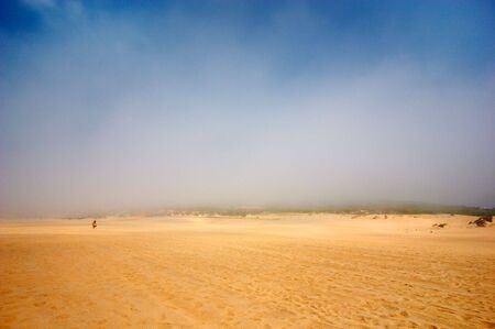 Power of nature. Foggy day at the desert or sandy dunesの写真素材