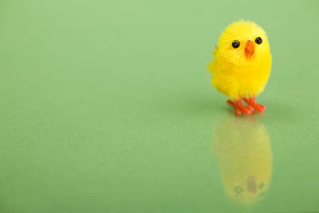 Funny cute yellow chicken over fresh green backgroundの写真素材