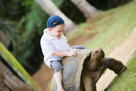 Fun activities in Mauritius. 4 years old boy riding giant turtle.の写真素材