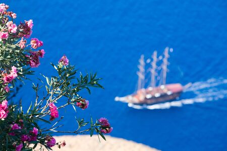 Flowers and sailing boat. Focus on flowers.の写真素材