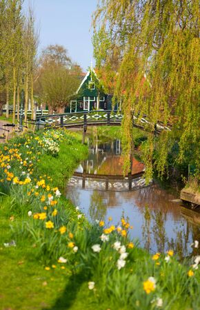 Beautiful landscape of dutch countrysideの写真素材