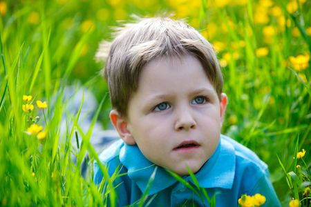 Cute 4 years old boy outdoors at sunny summer dayの写真素材