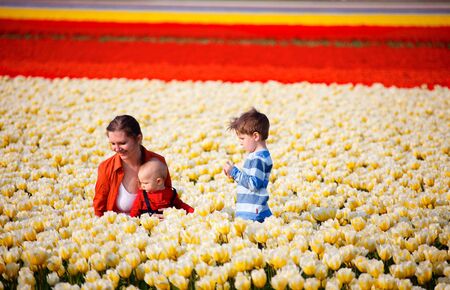 Mother with two kids in tulips fieldの写真素材