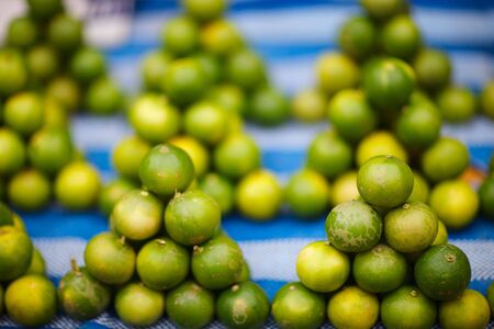 Assortment of fresh green limes on market trayの写真素材