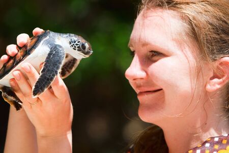 Closeup of woman holding baby sea turtleの写真素材