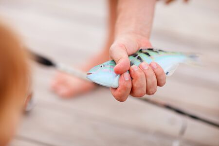Closeup photo of fisherman hand holding fish の写真素材