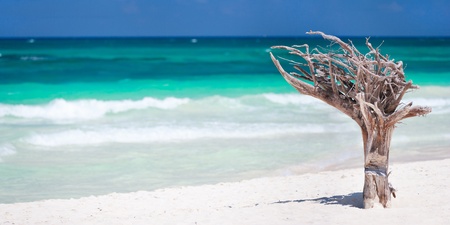Panorama of exotic beach in Tulum, Mexico
