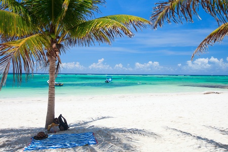 Beautiful Akumal beach in Mexico with white sand, turquoise water and palmsの写真素材