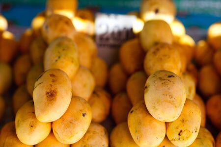 Assortment of fresh mangoes on market stallの写真素材
