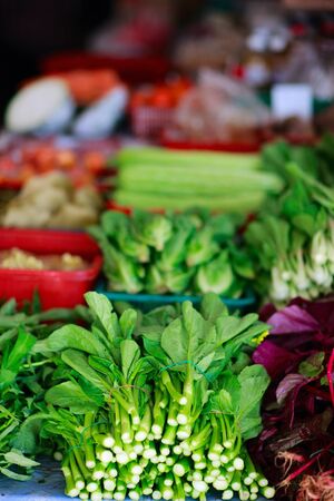 Variety of fresh green herbs on market stallの写真素材