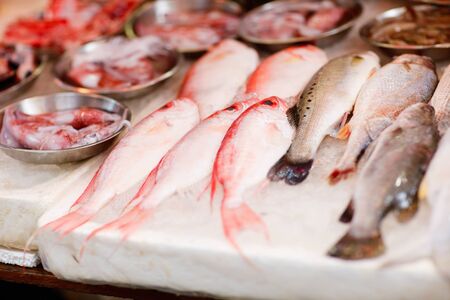 Fresh fish at seafood market in Hong Kongの写真素材
