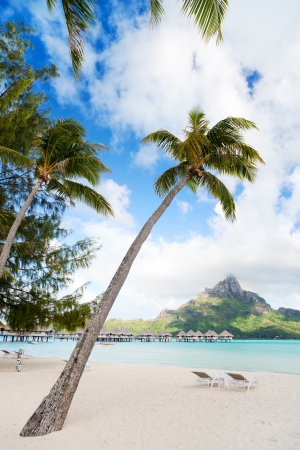 Beautiful beach with coconut palms on Bora Bora island in French Polynesiaの写真素材