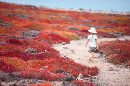 Little girl at scenic terrain on Galapagos South Plaza islandの写真素材