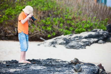 Little boy photographing marine iguanas on volcanic rocksの写真素材