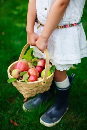 Little girl holding a basket with red applesの写真素材