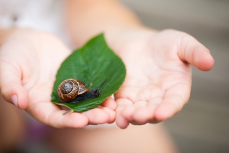 Child holding a little snail on a handの写真素材