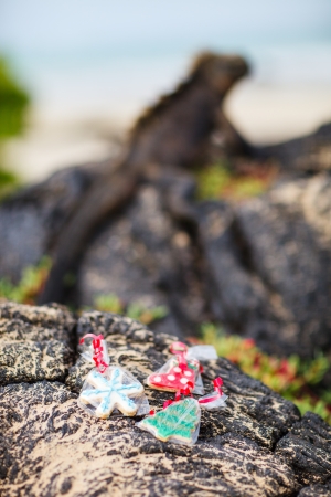 Variety of Christmas cookies at lava rocks with marine iguana on backgroundの写真素材