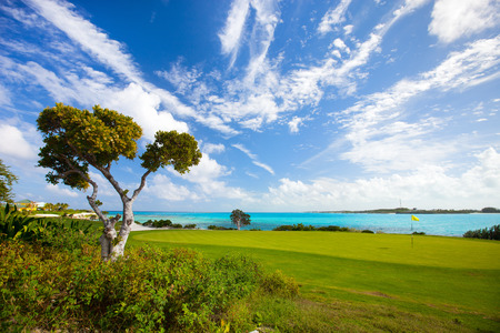 Stunning view of a coastal golf courseの写真素材