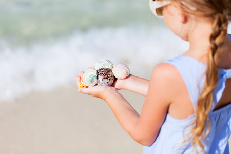 Close up of little girl hand holding variety of beautiful sea shells