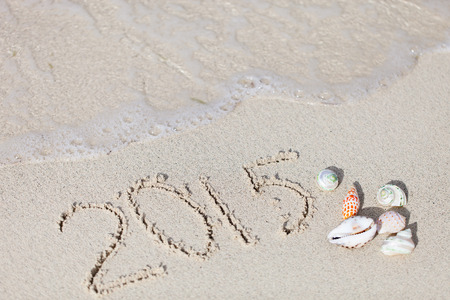 2015 written on tropical sand and different kinds of seashells at beachの写真素材