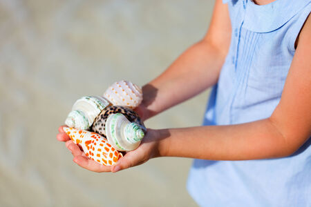 Close up of little girl hand holding variety of beautiful sea shells