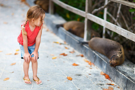 Adorable little girl looking to sea lions in a wild on Galapagos island of Isabelaの写真素材