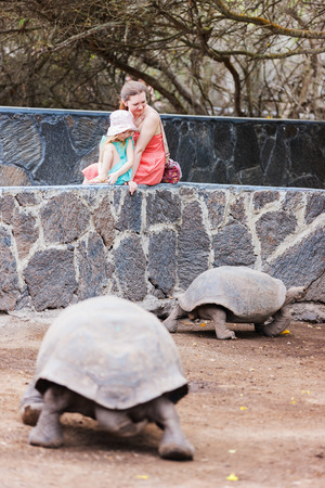 Family watching giant turtle at Galapagos island of Isabelaの写真素材