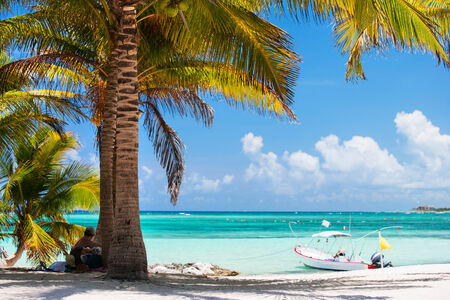 Beautiful Akumal beach in Mexico with white sand, turquoise water and palmsの写真素材