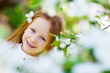 Adorable little girl in in blooming apple tree garden on spring dayの写真素材