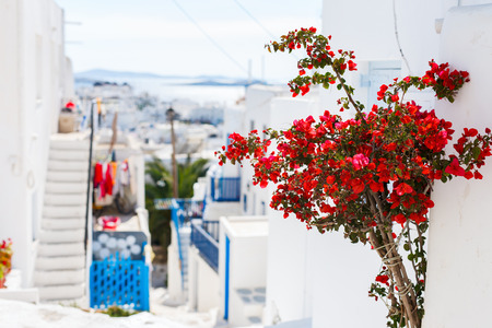 Typical greek traditional village with white walls and colorful doors, windows and balconies on Mykonos Island, Greece, Europeの写真素材