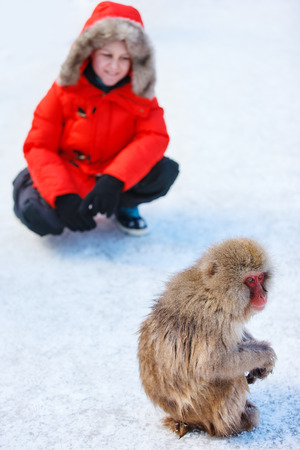 Teenage boy at Snow monkey Japanese Macaque park looking at monkey on snow in Nagano, Japanの写真素材