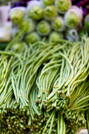 Variety of fresh green herbs at marketの写真素材