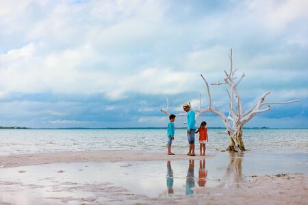 Lone tree most photographed on Harbour Island, Bahamas with family walking aroundの写真素材