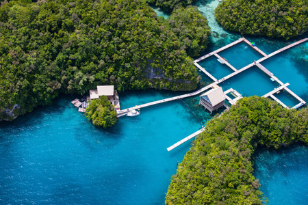 Beautiful view of Palau islands from above