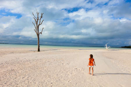 Lone tree most photographed on Harbour Island, Bahamas with little girl tourist walking aroundの写真素材