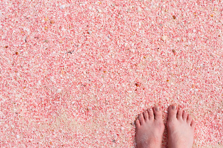 Woman feet on pink sand beach at Barbuda island in Caribbean made of tiny pink shells, close up photoの写真素材