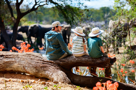Family of father and kids on African safari vacation enjoying wildlife viewing at watering holeの写真素材