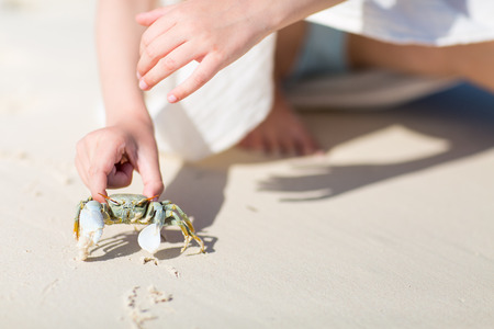 Close up of little girl holding a crabの写真素材