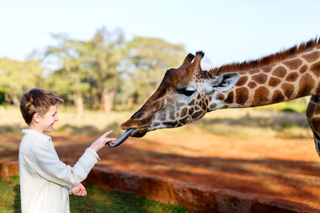 Kids brother and sister feeding giraffes in Africaの写真素材